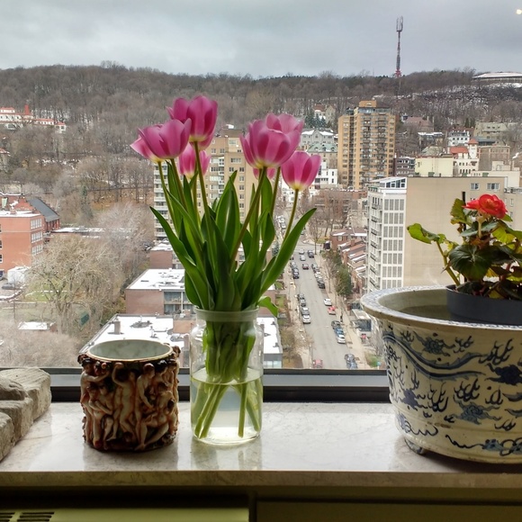 Meet your Posher, Annie - Picture 1 of 1